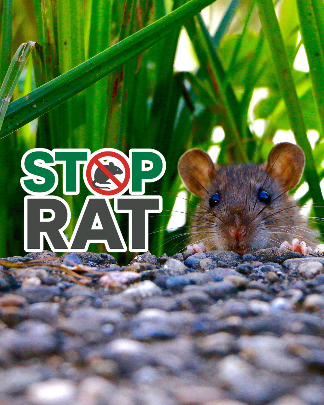 Bio Taupe à Verviers | Boncado - photo 14